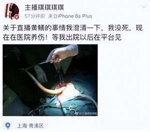 美女主播琪琪琪琪(“黄鳝门”事件曝光，警方严查淫秽直播平台)