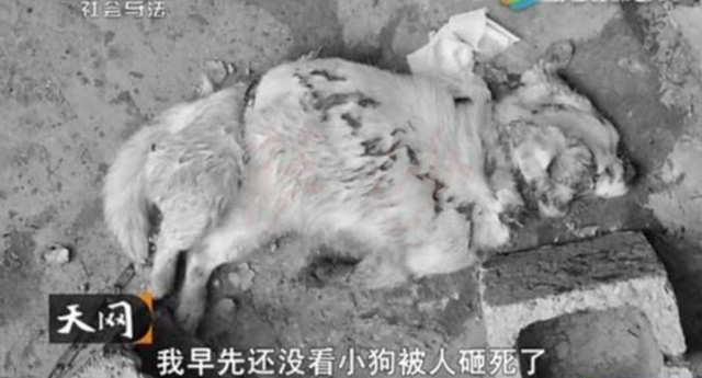 真实故事:4人入室抢劫新婚夫妻,侮辱新娘长达8小时,后来如何?