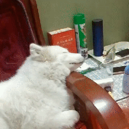 这通宵没白开啊,我能看美女打游戏一晚上