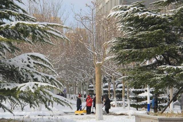 雪中的滨医,“热闹”非凡