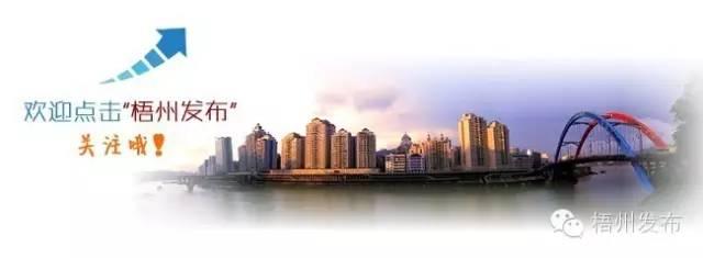 务工流、返程流、开学流叠加，近三日逾18万辆汽车过境梧州