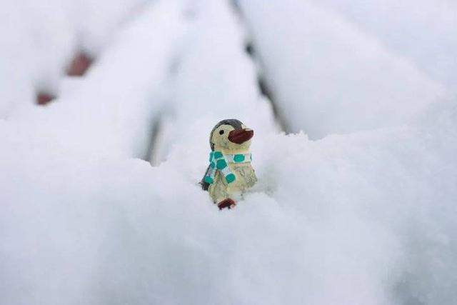 雪中的滨医,“热闹”非凡