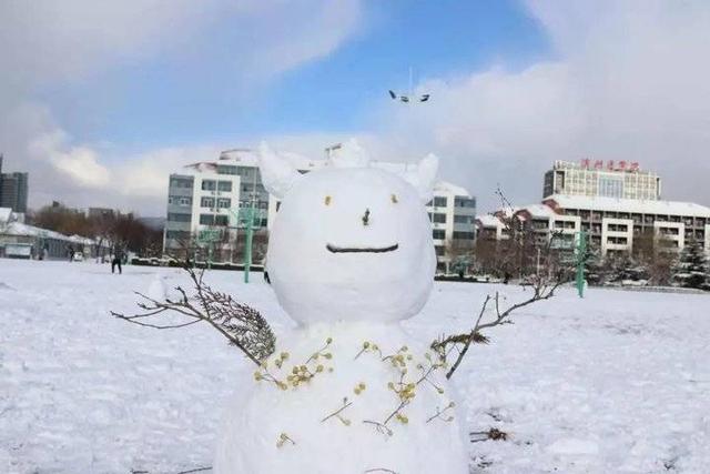 雪中的滨医,“热闹”非凡