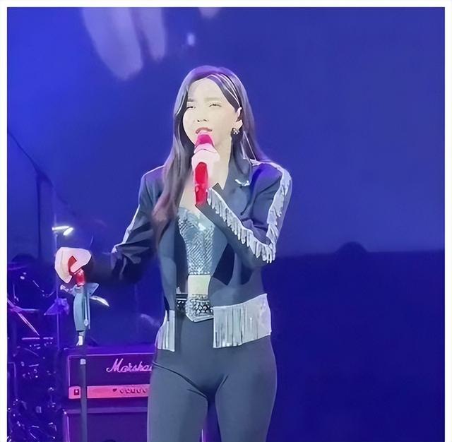 于文文演唱会紧身裤“私处轮廓明显”?引起网友热议,着装艺术?