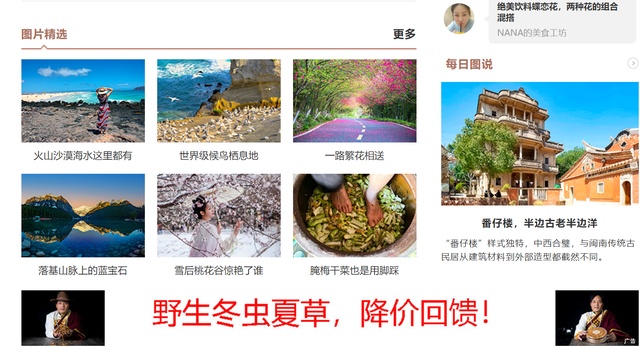 我的博客都到哪儿去了