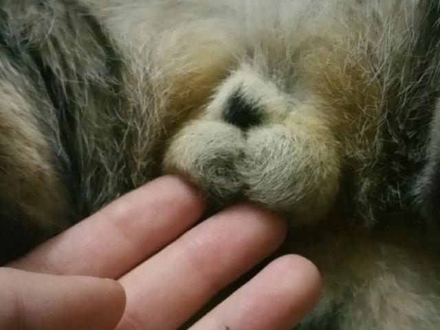 奇葩网黄！一言不合立马不可描述，经常还有迷之角度的“蛋照”