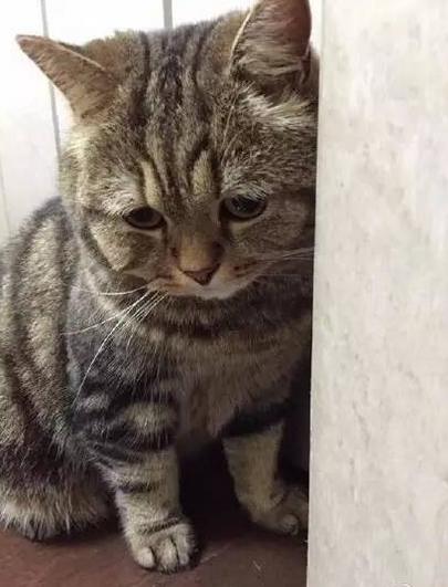 奇葩网黄！一言不合立马不可描述，经常还有迷之角度的“蛋照”