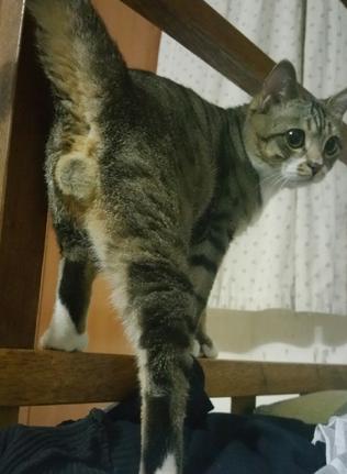 奇葩网黄！一言不合立马不可描述，经常还有迷之角度的“蛋照”