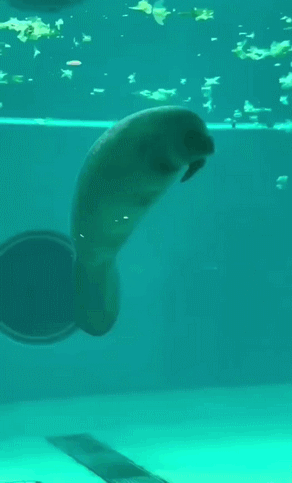 这通宵没白开啊,我能看美女打游戏一晚上