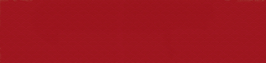 这支舞掀起了最炫民族风!