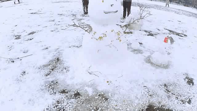 雪中的滨医,“热闹”非凡