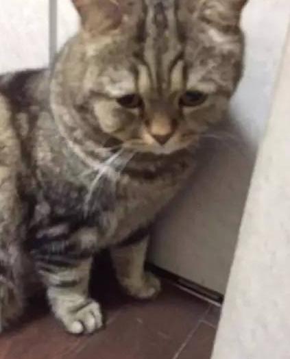 奇葩网黄！一言不合立马不可描述，经常还有迷之角度的“蛋照”