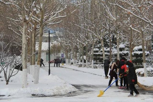 雪中的滨医,“热闹”非凡