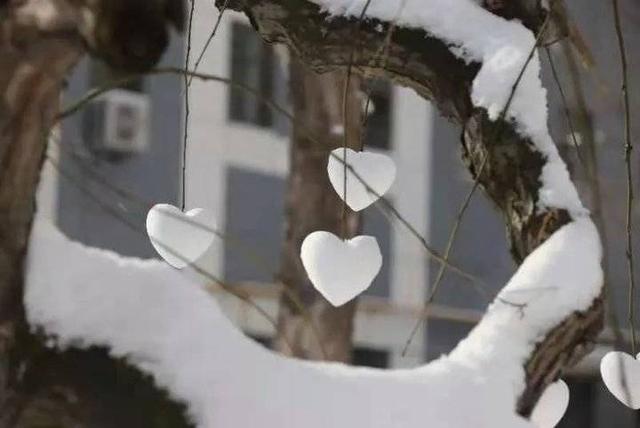 雪中的滨医,“热闹”非凡