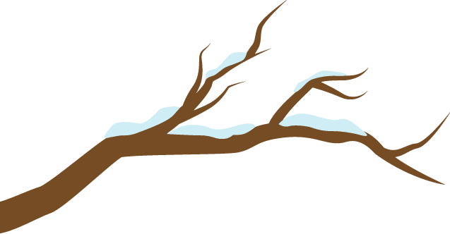 雪中的滨医,“热闹”非凡