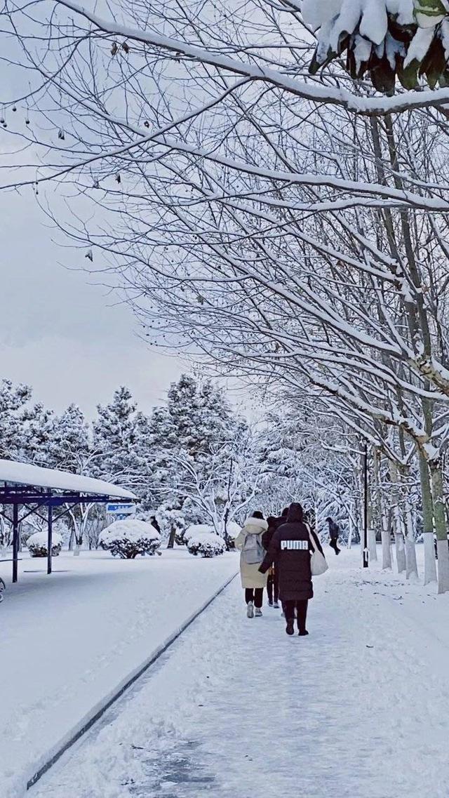 雪中的滨医,“热闹”非凡