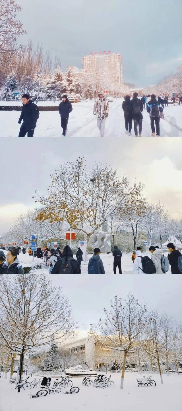 雪中的滨医,“热闹”非凡