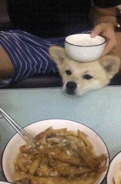 这通宵没白开啊,我能看美女打游戏一晚上