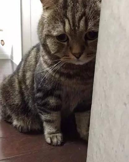 奇葩网黄！一言不合立马不可描述，经常还有迷之角度的“蛋照”