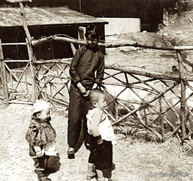 日军日记: 男人饿倒在地,为了救他,我将他妻子的乳房割给他吃!