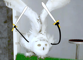 这些地缚少年花子君的GIF“名场面”,你值得拥有!