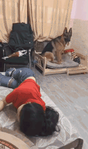 这通宵没白开啊,我能看美女打游戏一晚上