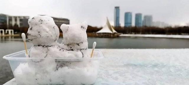 雪中的滨医,“热闹”非凡