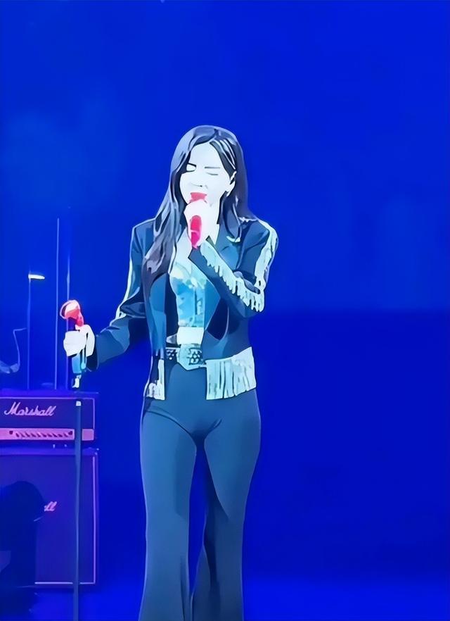 于文文演唱会紧身裤“私处轮廓明显”?引起网友热议,着装艺术?