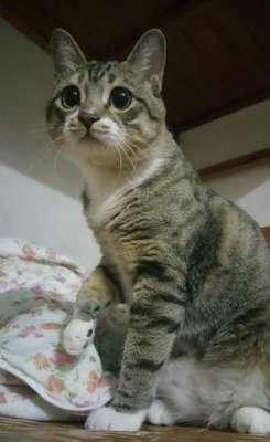 美女露蛋图(奇葩网黄一言不合立马不可描述，经常还有迷之角度的“蛋照”)