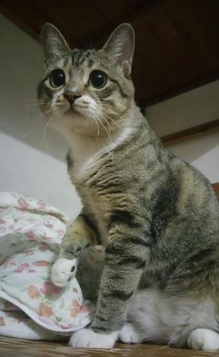 奇葩网黄！一言不合立马不可描述，经常还有迷之角度的“蛋照”