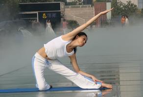 戴菲菲曾被称为“中国体坛第一美女”,甘愿退隐成为大学教师