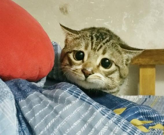 奇葩网黄！一言不合立马不可描述，经常还有迷之角度的“蛋照”