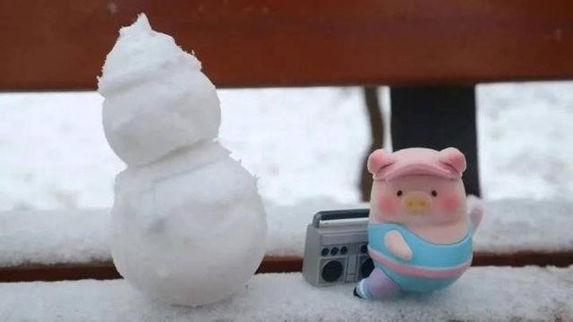 雪中的滨医,“热闹”非凡