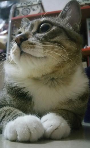 奇葩网黄！一言不合立马不可描述，经常还有迷之角度的“蛋照”