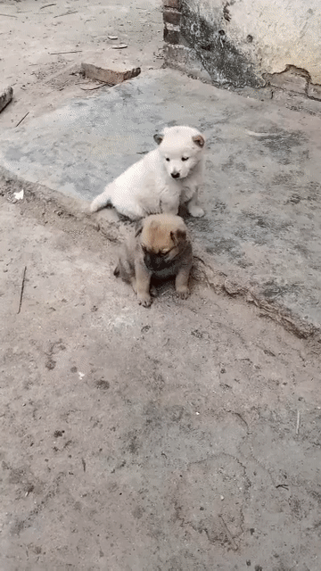 这通宵没白开啊,我能看美女打游戏一晚上