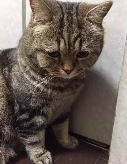 奇葩网黄！一言不合立马不可描述，经常还有迷之角度的“蛋照”