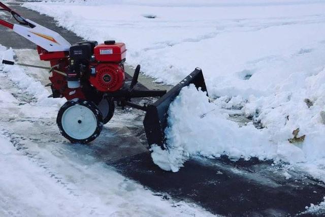 雪中的滨医,“热闹”非凡