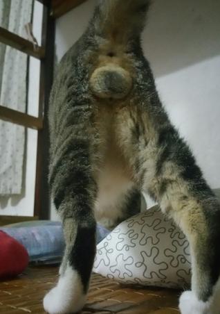 奇葩网黄！一言不合立马不可描述，经常还有迷之角度的“蛋照”