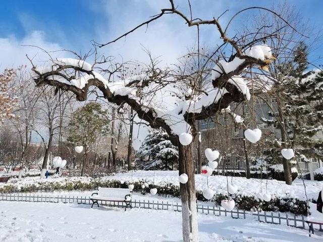 雪中的滨医,“热闹”非凡