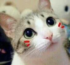 这些地缚少年花子君的GIF“名场面”,你值得拥有!