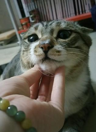 奇葩网黄！一言不合立马不可描述，经常还有迷之角度的“蛋照”