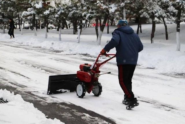 雪中的滨医,“热闹”非凡