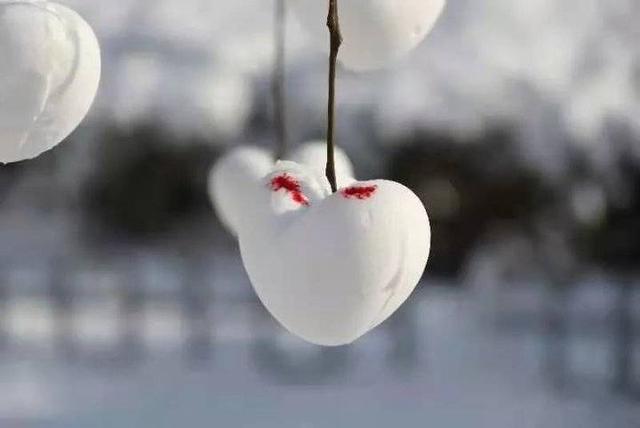 雪中的滨医,“热闹”非凡