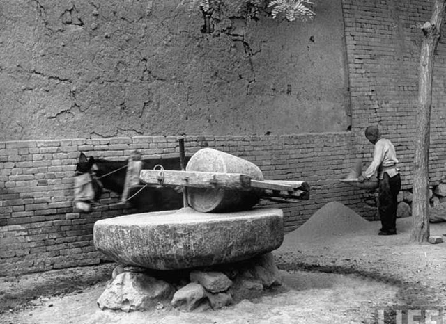 日本侵华施暴照:图6日军随军记者镜头里面的苏州姑娘