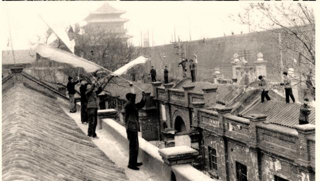 一组精彩照片:丹麦漂亮的超胖女模特,属于非洲山魈的写真镜头