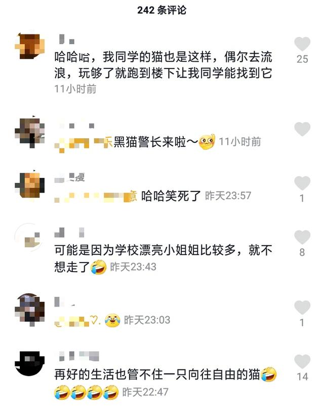 安徽一女大学生上课玩手机,被一只黑猫“抓现行”!网友:黑猫警长来了