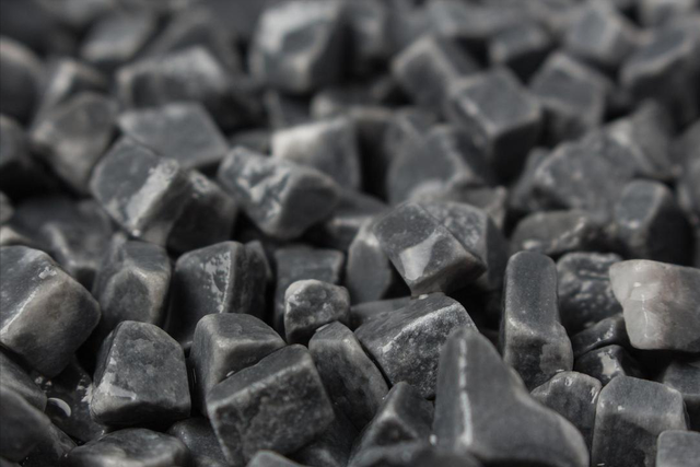 养宠物的注意,这5样东西能除味,再也不用为狗狗臭味发愁了