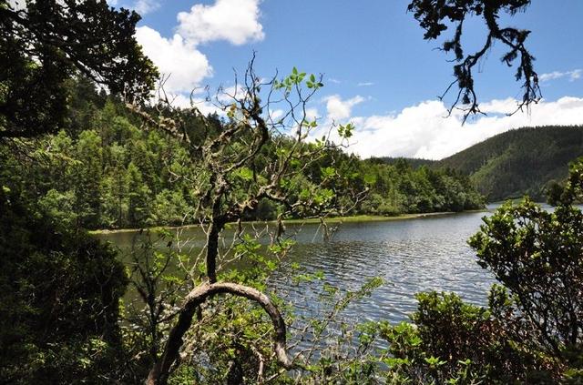 世外桃源,普达措国家公园