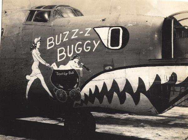 一组精彩照片:丹麦漂亮的超胖女模特,属于非洲山魈的写真镜头