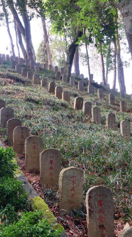 大妈怒斥,要扒光她衣服!南京一女子穿和服在公园拍照后续!